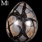 Dragon Stone Fascinerend septarisch geode-ei - Hoogte: 158