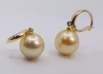 10x11mm Golden South Sea Pearls - Oorbellen Geel goud, Handtassen en Accessoires
