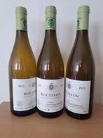 2023 Jean-Claude Ramonet - Bouzeron - 3 Bouteilles (0,75 L), Nieuw