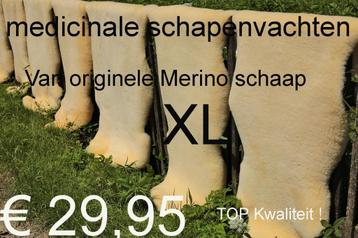 Medicinale Merino gezondheidsvacht schapenvacht schapenvel beschikbaar voor biedingen