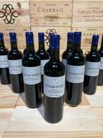 2019 Château du Roc - Castillon Côtes de Bordeaux - 12 Fles