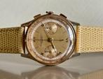 Daniel Watch Co - Chronographe Suisse - Zonder Minimumprijs, Nieuw