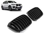 Nieren | BMW | X3 17- 5d suv. G01 / X4 18- 5d suv. G02 | M-P, Verzenden, Nieuw, BMW