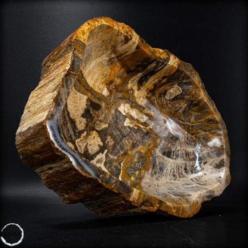 Bol poli à la main en bois pétrifié Croître avec des, Verzamelen, Mineralen en Fossielen