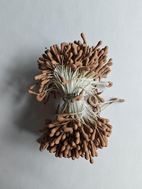 Meeldraad Meeldraden Creme 1 mm 576 stuks PAK Meeldraden, Huis en Inrichting, Woonaccessoires | Kunstplanten en Kunstbloemen, Nieuw