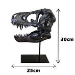 Dinosaurus Schedel - REPLICA-T-REX - 30 cm - 25 cm - 15 cm -, Nieuw