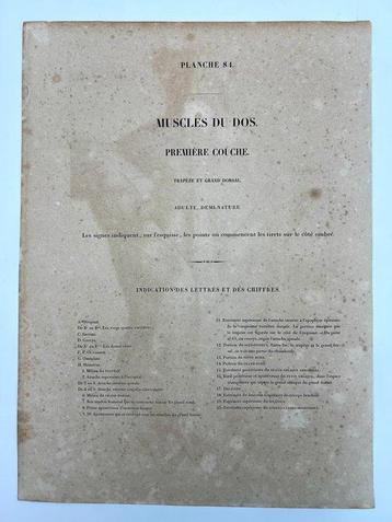 Matériel pédagogique - Nicolas-Henri Jacob & Jean Baptiste
