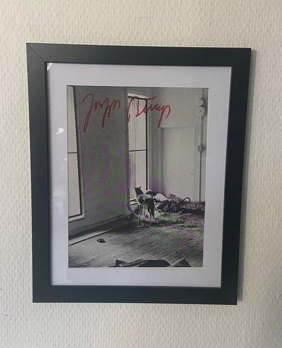 Joseph Beuys (1921-1986) - JOSEPH BEUYS - „I Like America“, Antiek en Kunst, Antiek | Overige Antiek