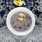 Libéria. 20 Dollars 2024 ENTOMA: Ladybird – 1 oz Silver, Postzegels en Munten