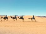 Fabio Accorrà - Sahara camels, Antiek en Kunst