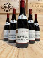 2020 Étienne Rodier Hautes Côtes de Beaune - Bourgogne - 6, Verzamelen, Nieuw