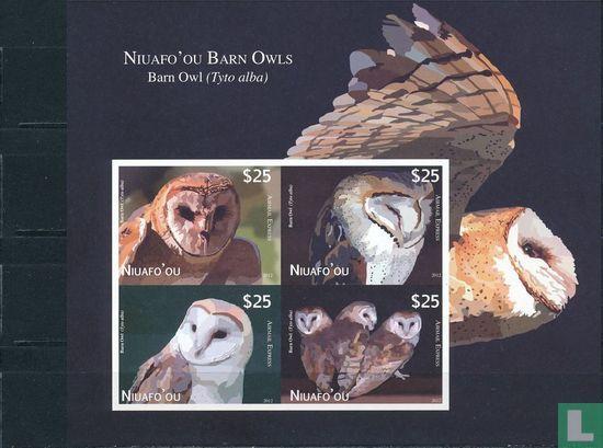 Niuafoou - Kerkuil - 2012, Postzegels en Munten, Postzegels | Oceanië, Postfris, Verzenden