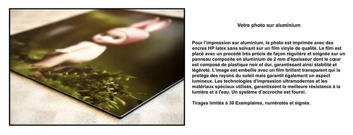 David Law - Captain Cook, Antiek en Kunst, Kunst | Designobjecten