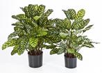 Kunstplant Calathea Groen 80 cm, Huis en Inrichting, Verzenden