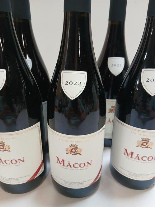 2023 Sarl de Rochebin - Maçon - 8 Bouteilles (0,75 L), Verzamelen, Wijnen