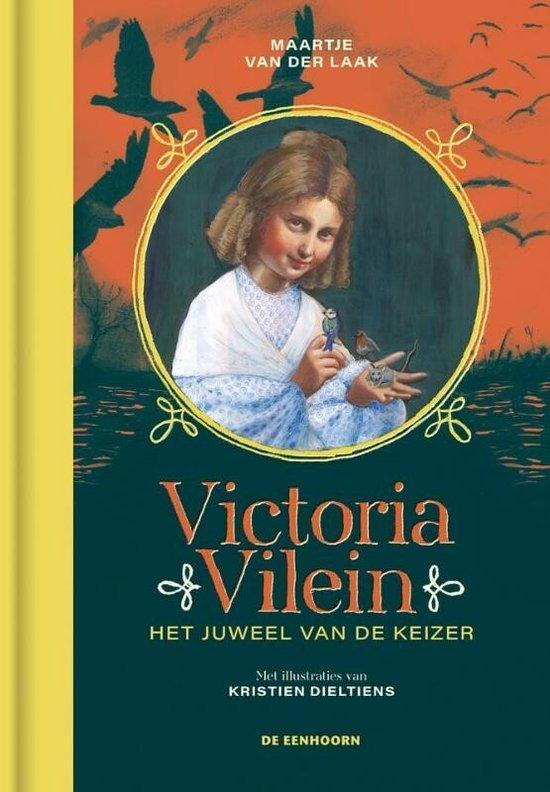 Victoria Vilein 9789462917415 Maartje van der Laak, Boeken, Overige Boeken, Gelezen, Verzenden