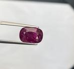 Zonder Minimumprijs - 1 pcs  Rood Robijn  - 5.40 ct -, Handtassen en Accessoires, Edelstenen, Nieuw