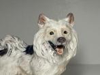 Figurine - Dahl Jensen Greenlandic Dog # 1082 - Porcelaine