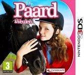 Mijn Paard En Veulen [Nintendo 3DS], Games en Spelcomputers, Games | Nintendo 2DS en 3DS, Verzenden