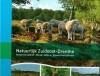 Natuurlijk zuidoost-Drenthe 9789491640148 Linda de Vries, Boeken, Hobby en Vrije tijd, Gelezen, Verzenden