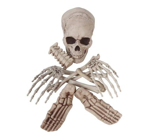 Halloween Skelet, Hobby & Loisirs créatifs, Articles de fête, Envoi