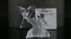 Figuur - Swarovski - Kolibrie (Boxed + Certificate) -