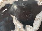 Versteend hout - Gefossiliseerd hout - Dipterocarpus sp. - 2
