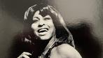 Govert de Roos - Tina Turner
