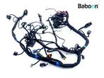 Kabelboom Ducati Scrambler 1100 2018-2020 (5101D201B), Verzenden, Gebruikt