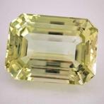 Zonder Minimumprijs Spodumeen - 63.16 ct - Antwerp, Nieuw
