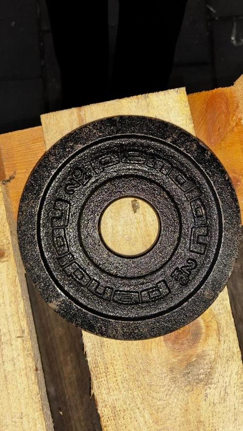 Pendloy 2 kg halterschijven, Sport en Fitness, Fitnessmaterialen, Overige typen, Nieuw, Verzenden