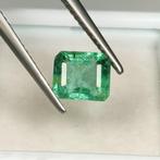 Sans Prix de Réserve Vert Émeraude - 1.18 ct - International, Nieuw