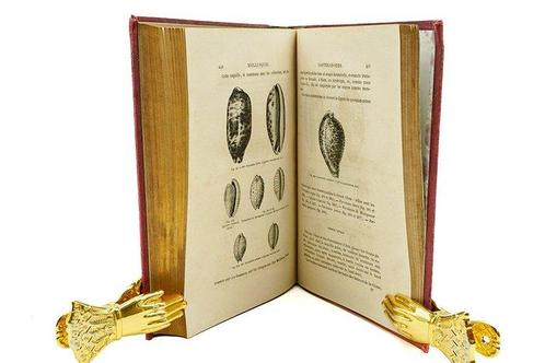 Louis Figuier - La Vie et les Mœurs des Animaux - 1866, Antiek en Kunst, Antiek | Boeken en Manuscripten