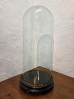 Globe - stolp - antiek - 1901-1920 - Antieke ronde stolp, Antiek en Kunst