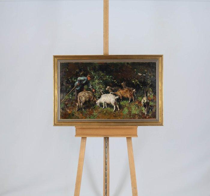 Willem Hendrik van der Nat (1864–1929) - Eikels voeren, Antiquités & Art, Art | Peinture | Classique