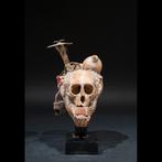 Fétiche crâne de singe - Vaudou - Fon - Bénin, Antiquités & Art