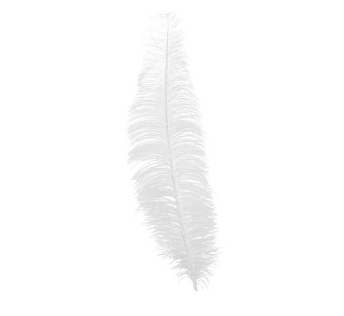 Witte Struisvogelveren 40cm 12st, Hobby en Vrije tijd, Feestartikelen, Nieuw, Verzenden