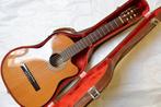 Motion - TC907CE - - Guitare semi-acoustique - États-Unis -, Muziek en Instrumenten, Nieuw