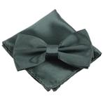 Fako Fashion® - Vlinderstrik Met Pochette - Vlinderdas -, Kleding | Heren, Verzenden, Nieuw