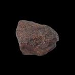 NWA 16208 Primitieve chondriet (Winonaita) meteoriet zonder