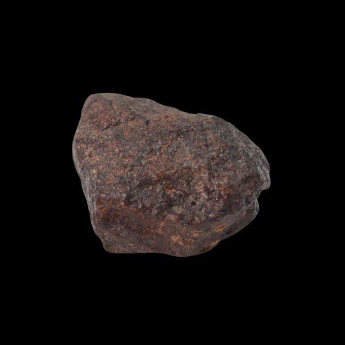 NWA 16208 Primitieve chondriet (Winonaita) meteoriet zonder, Verzamelen, Mineralen en Fossielen