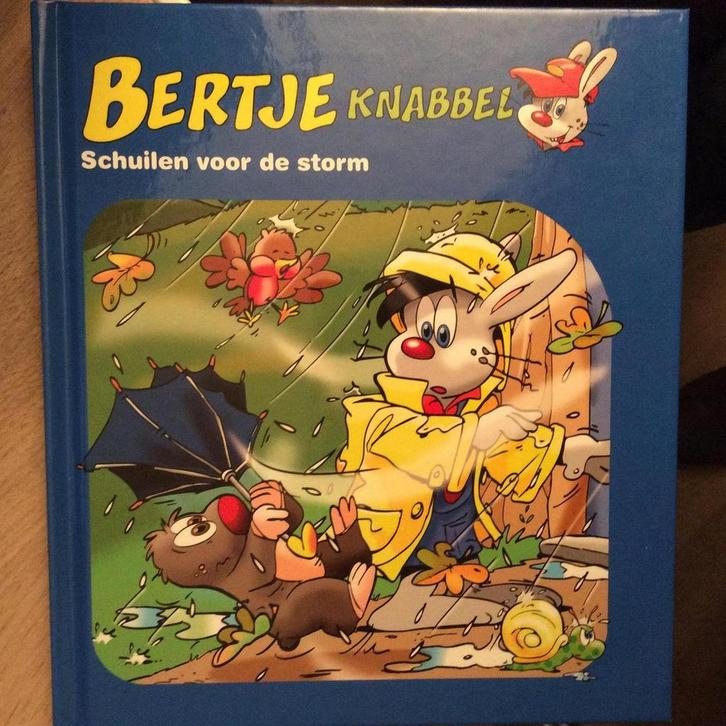 Bertje Knabbel deel 2 Schuilen voor de storm 0087177960252, Boeken, Overige Boeken, Gelezen, Verzenden