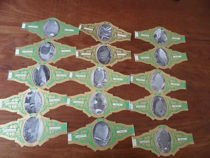 Themacollectie - Odor R. Janssens en Zn vissen, Antiek en Kunst, Antiek | Speelgoed