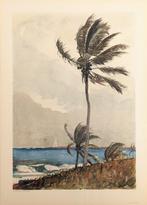 Winslow Homer (1836-1910), after - Palm Tree, Nassau (1898)