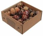 Leucadendron Assortiment op draad Naturel 50 stuks, Huis en Inrichting, Woonaccessoires | Kunstplanten en Kunstbloemen, Nieuw