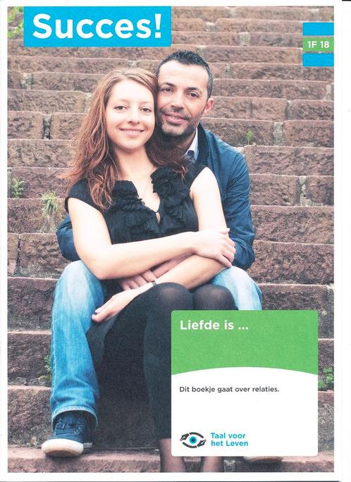 Succes! Werkboek IF 18, Boeken, Schoolboeken, Verzenden