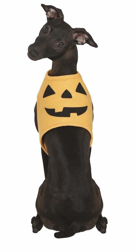 Halloween Dieren Kostuum Pompoen Mascotte, Hobby en Vrije tijd, Feestartikelen, Nieuw, Verzenden