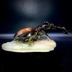 Royal Dux, Bohemia - Stag Beetle (21,5 cm) - ca 1965 -, Antiek en Kunst