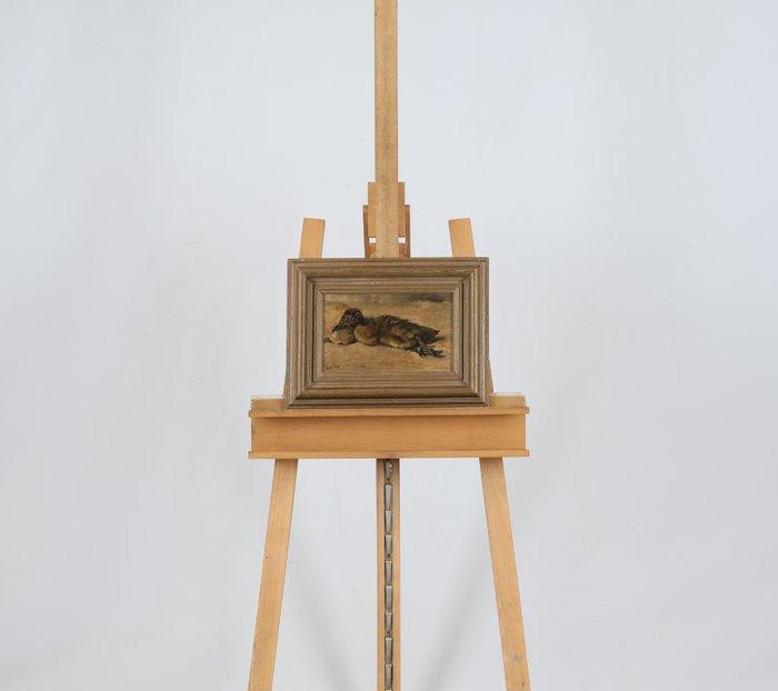 Willem Hendrik van der Nat (1864–1929) - Liggend eendje, Antiek en Kunst, Kunst | Schilderijen | Klassiek