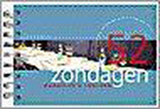 52 ZONDAGEN WANDELEN EN LUNCHEN 9789057670596 E. Brik, Boeken, Reisgidsen, Gelezen, Verzenden
